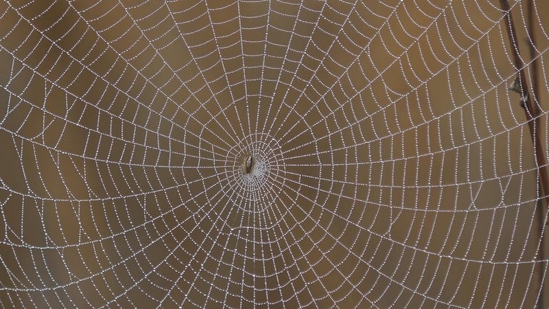Optimización de Formularios: Del Abandono a la Conversión